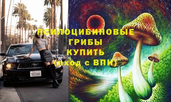 МДПВ Нея